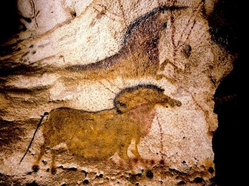 Horses painted on the walls of Lascaux cave